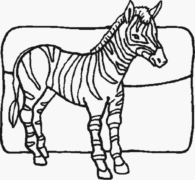 Zebra Coloring Pages Fresh Free Printable Zebra Coloring Pages 750x693 Zebra Coloring Pages Fresh Free Printable Zebra Coloring Pages