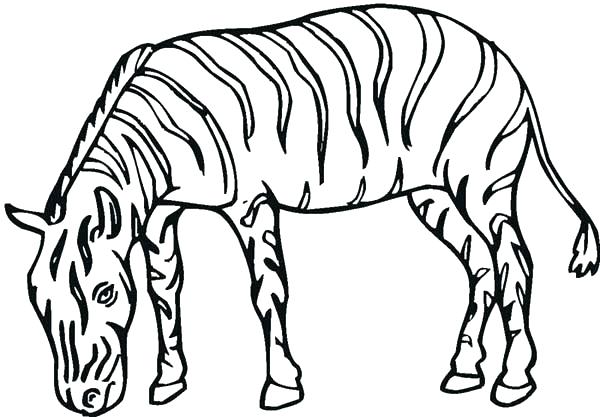 Zebra Printable Coloring Pages Zebra Coloring Pages Free Printable 600x417 Zebra Printable Coloring Pages Zebra Coloring Pages Free Printable