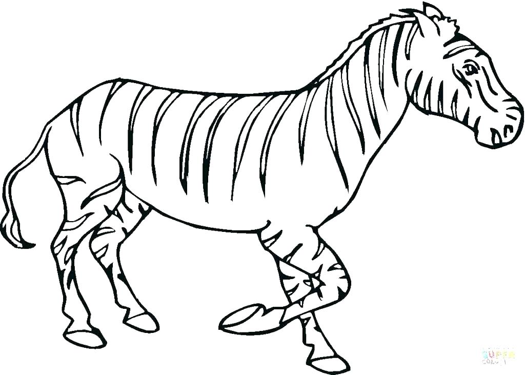 Coloring Zebra Coloring Page Zebra Coloring Pages Zebra Zebra Free 1024x731 Coloring Zebra Coloring Page Zebra Coloring Pages Zebra Zebra Free