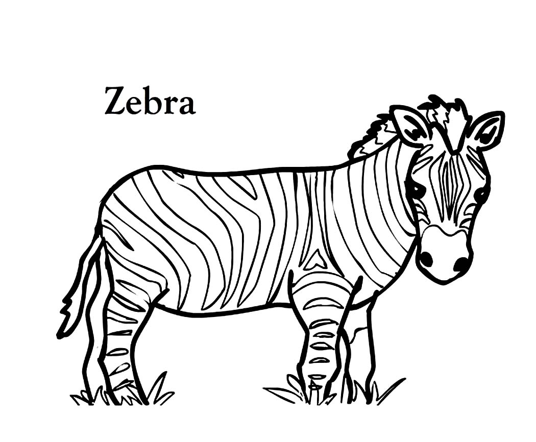 Liberal Zebra Picture To Color Magic Coloring Sheet Emerging 1050x866 Liberal Zebra Picture To Color Magic Coloring Sheet Emerging
