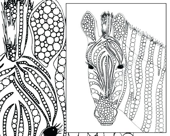 Zebra Without Stripes Coloring Pages Free Zebra Color Sheet 570x457 Zebra Without Stripes Coloring Pages Free Zebra Color Sheet