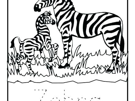 Coloring Pages Of Zebras 440x330 Coloring Pages Of Zebras