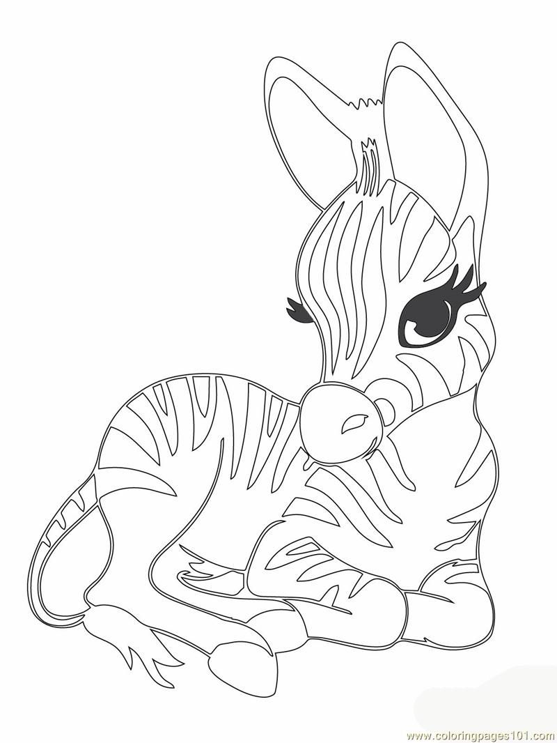 Cute Ba Zebra Coloring Page Free Printable Coloring Pages Zebra 800x1066 Cute Ba Zebra Coloring Page Free Printable Coloring Pages Zebra