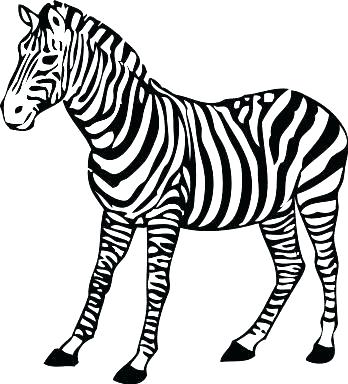 Zebra Coloring Sheet Grandmaman.site 348x384 Zebra Coloring Sheet Grandmaman.site