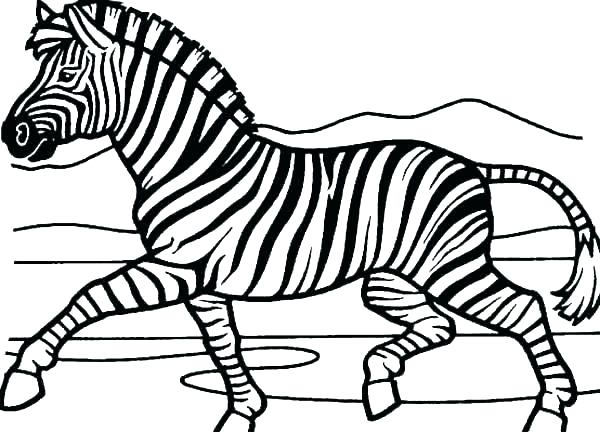 600x432 Zebra Coloring Page Zebra Coloring Page Zebra Coloring Pages