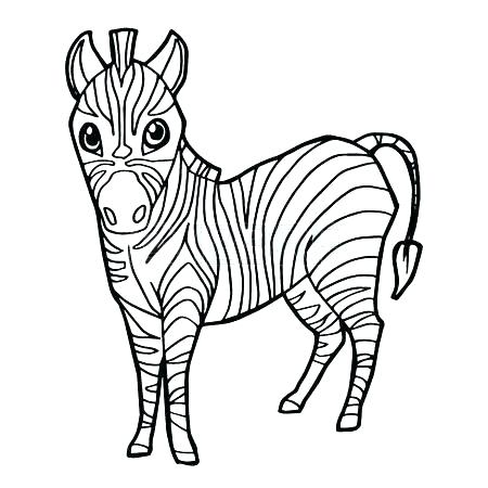 450x450 Zebra Coloring Page Zebra Coloring Page Zebras Pages Free Zebra