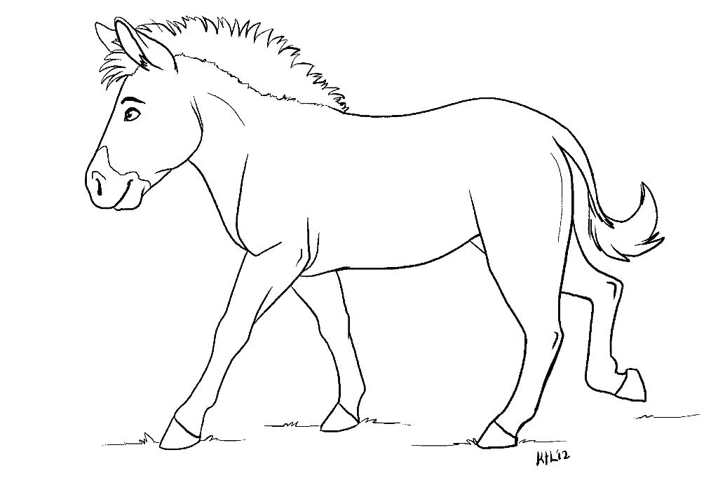 Baby Zebra Coloring Pages Baby Zebra Coloring Pages Zebra Color 1024x692 Baby Zebra Coloring Pages Baby Zebra Coloring Pages Zebra Color