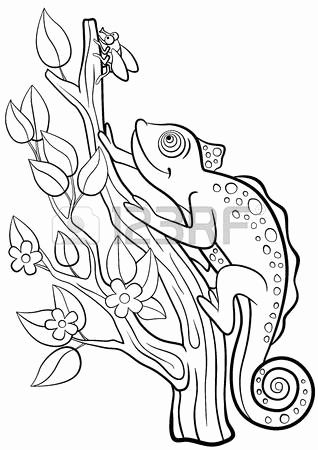 Zentangle Zebra Zebra Head Coloring Pages Ohmygirl.us 318x450 Zentangle Zebra Zebra Head Coloring Pages Ohmygirl.us