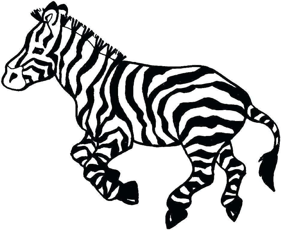 Zebra Coloring Pages Free Printable Animal Coloring Pages To Print 938x768 Zebra Coloring Pages Free Printable Animal Coloring Pages To Print