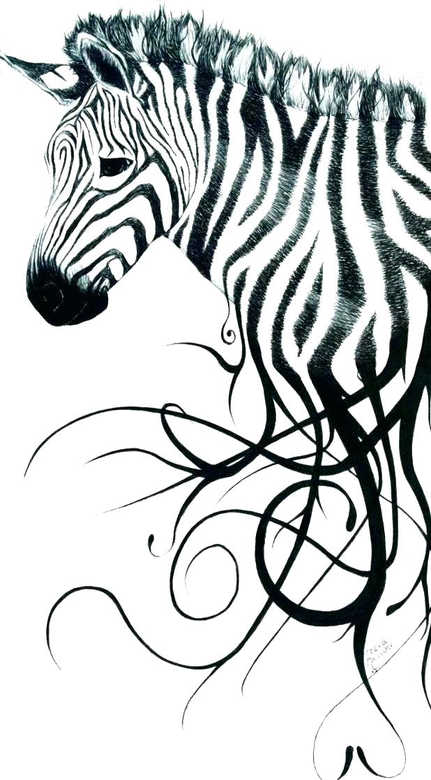 Zebra Print Coloring Pages Detailed Animal Coloring Pages Zebra 618x1117 Zebra Print Coloring Pages Detailed Animal Coloring Pages Zebra