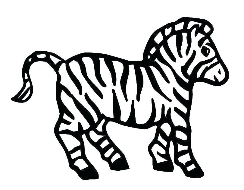 Zebra Print Coloring Pages Printable Zebra Print Stencil Coloring 810x630 Zebra Print Coloring Pages Printable Zebra Print Stencil Coloring
