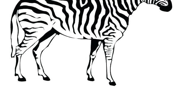 Zebra Print Coloring Pages Zebra Print Coloring Pages Zebra 585x329 Zebra Print Coloring Pages Zebra Print Coloring Pages Zebra