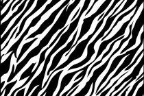 Zebra Print Coloring Pages Zebra Print Coloring Pages Coloring 210x140 Zebra Print Coloring Pages Zebra Print Coloring Pages Coloring