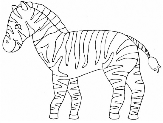 Coloring Pages Of Zebra Print For Kids 547x413 Coloring Pages Of Zebra Print For Kids