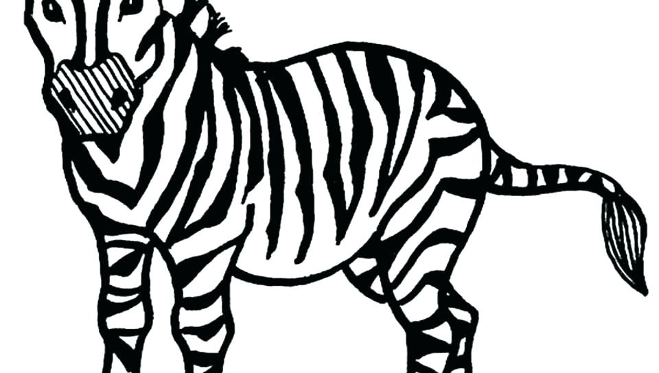 Zebra Coloring Pages 960x544 Zebra Coloring Pages