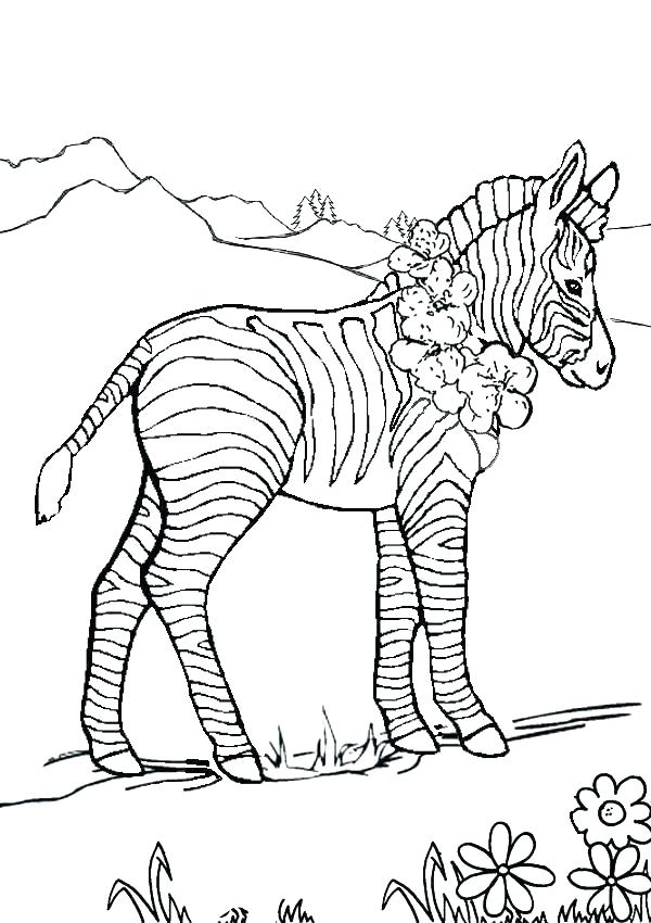 Zebra Print Coloring Pages 600x850 Zebra Print Coloring Pages