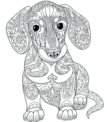 363x411 Animal Mandala Coloring Pages Free Printable Pin By On And After