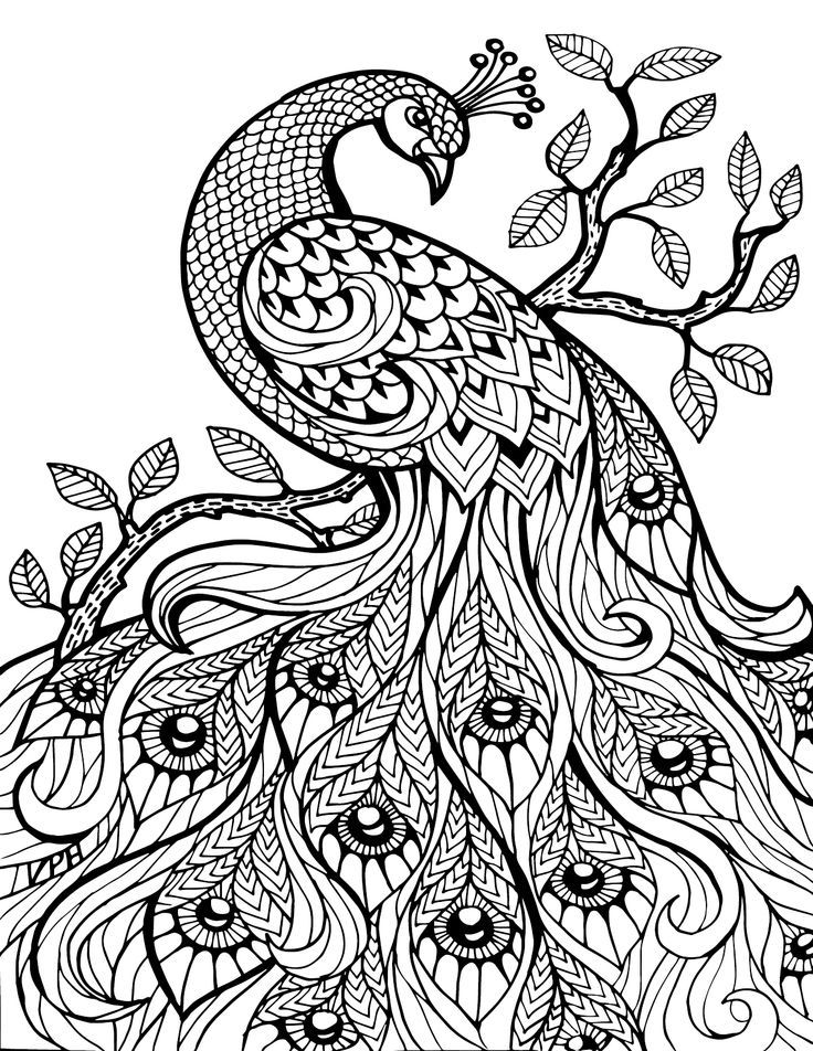 736x952 2635 Best Coloring Books Images On Coloring Pages