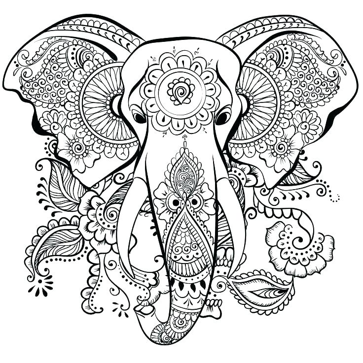 Zentangle Coloring Pages Elephant Animal Coloring Pages Zentangle 736x737 Zentangle Coloring Pages Elephant Animal Coloring Pages Zentangle