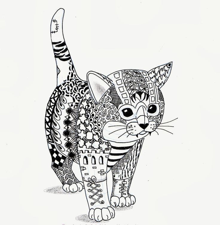 736x751 New Cat Coloring Pages For Adults Book Kids Coloring Pages