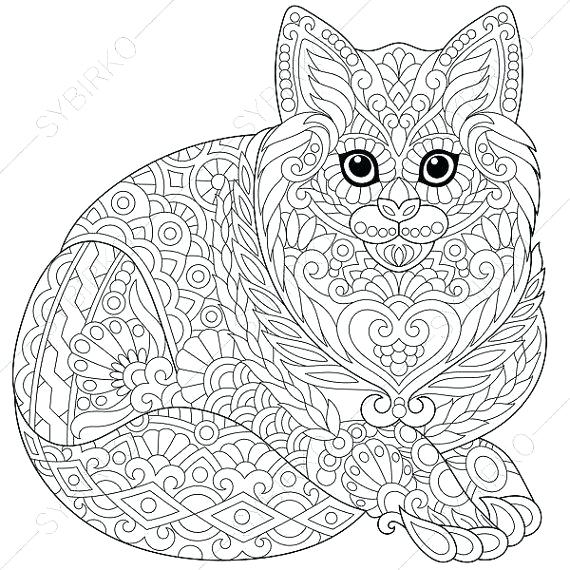 570x570 Cat Coloring Page Cats Dogs Coloring Pages For Adults Cat