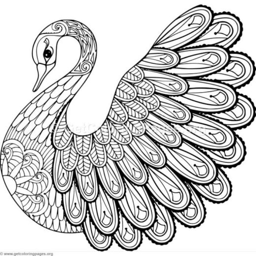 520x520 Printable Zentangle Coloring Pages