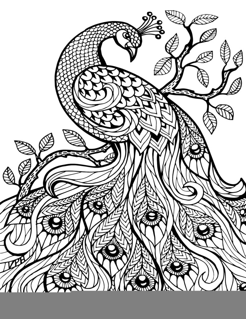 Coloring Pages Zentangle And Adult Coloring On Zentangle Adult 791x1024 Coloring Pages Zentangle And Adult Coloring On Zentangle Adult