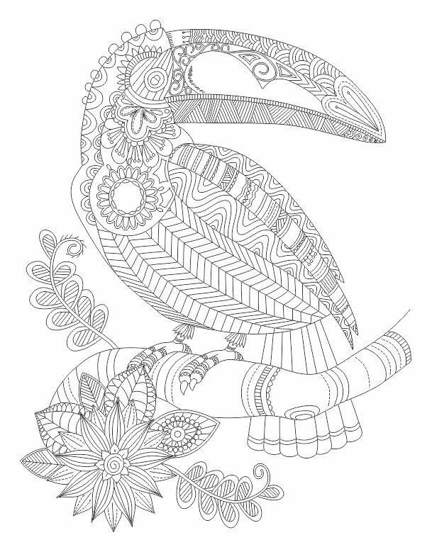 609x779 Toucan Bird Abstract Doodle Zentangle Coloring Pages Colouring