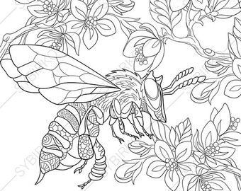 340x270 Coloring Pages Of Asian Pagoda. Zentangle Doodle Coloring Book