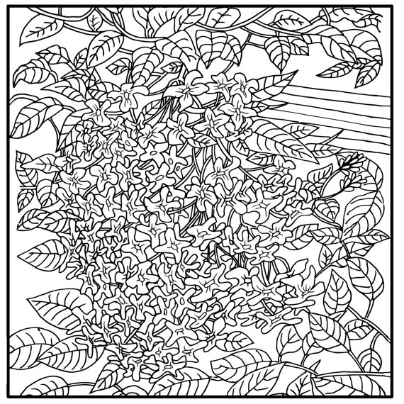 570x570 Printable Coloring Page Zentangle Flowers Coloring Book