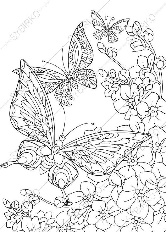 570x798 3 Adult Coloring Pages. Butterflies. Zentangle Doodle Coloring