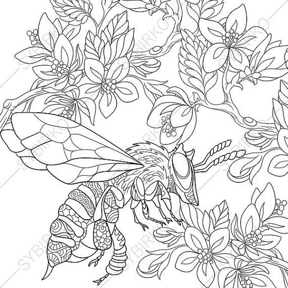 570x570 3 Coloring Pages. Bee. Zentangle Doodle Coloring Book Pages