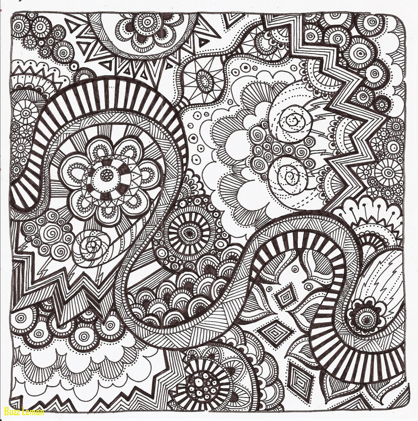 Luxury Coloring Page Zentangle Buzz Coloring 1588x1600 Luxury Coloring Page Zentangle Buzz Coloring