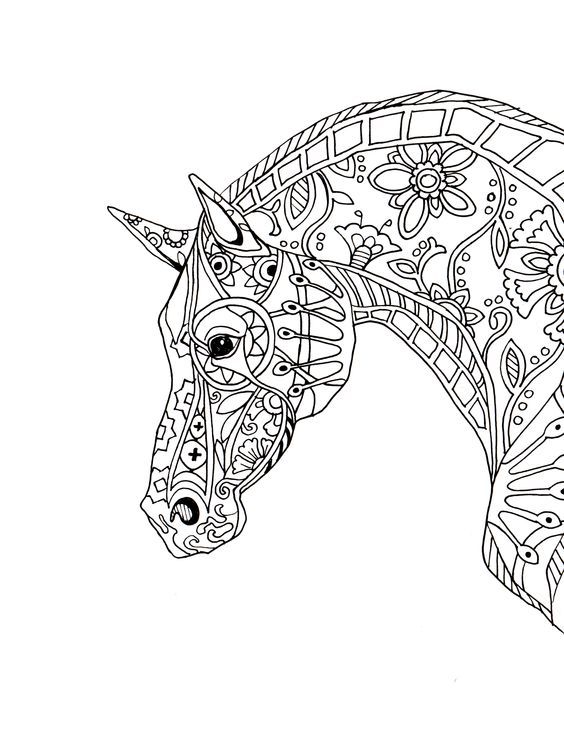 Pin By Sam On Coloring Pages Horse Adult Coloring 564x729 Pin By Sam On Coloring Pages Horse Adult Coloring