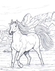 Coloring Book Horse Clip Art Hand Drawn Original Zentangle 236x304 Coloring Book Horse Clip Art Hand Drawn Original Zentangle