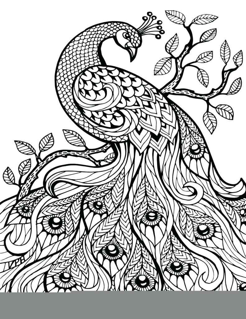 791x1024 Printable Printable Zentangle Patterns Coloring Pages