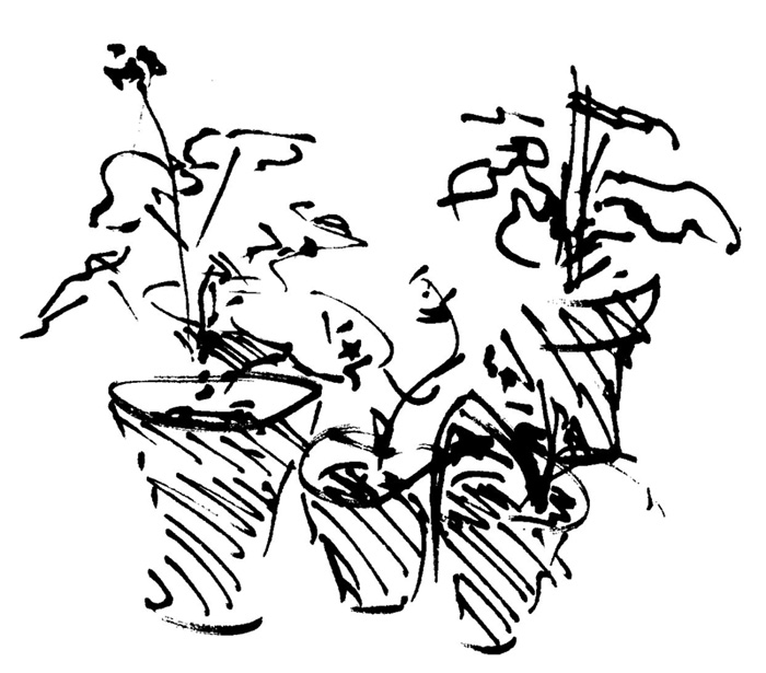 700x615 Ziggurat Coloring Pages