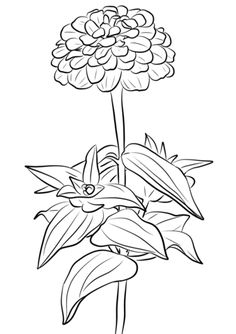 236x334 Rose With Thorns Coloring Page Roses Category. Select