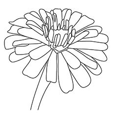230x230 Top 25 Free Printable Flowers Coloring Pages Online Zinnias