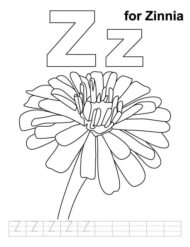 Letter Z For Zinnia Coloring Pages Preschool 610x792 Letter Z For Zinnia Coloring Pages Preschool