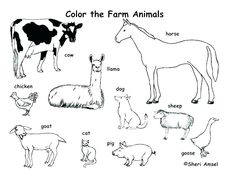 Zoo Animal Coloring Page Free Printable Farm Animal Coloring Pages 792x612 Zoo Animal Coloring Page Free Printable Farm Animal Coloring Pages
