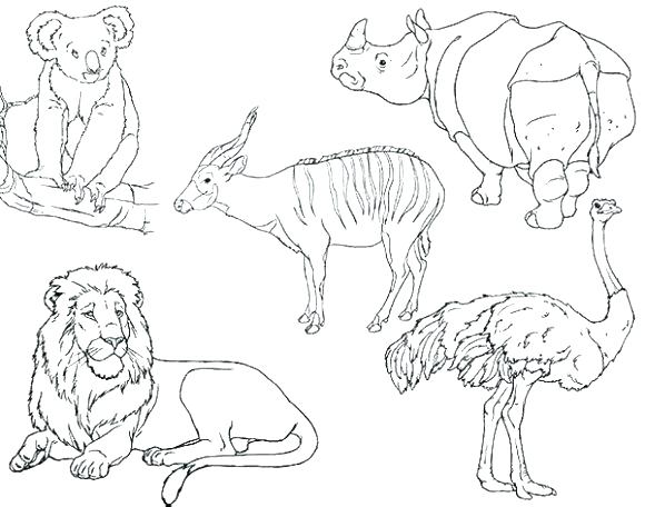 Zoo Animals Coloring Pages Animal Coloring Pages For Preschoolers 580x456 Zoo Animals Coloring Pages Animal Coloring Pages For Preschoolers
