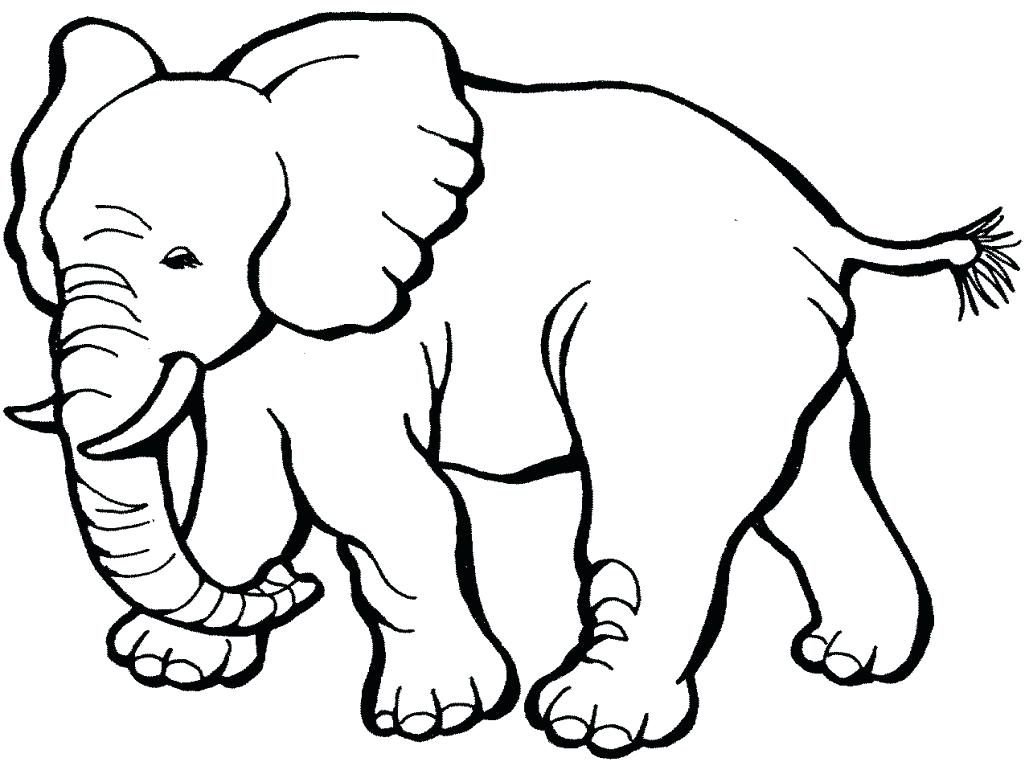 Zoo Animals Coloring Pages Icontent 1025x762 Zoo Animals Coloring Pages Icontent