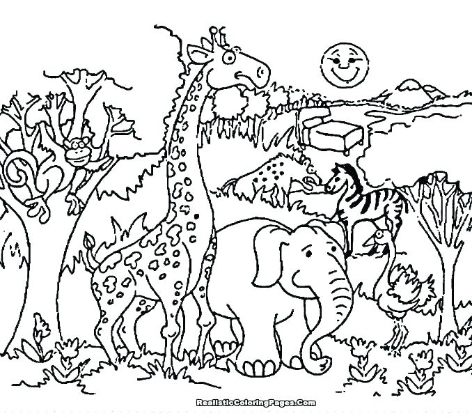 Zoo Animals Colouring Pages Free Icontent 678x600 Zoo Animals Colouring Pages Free Icontent