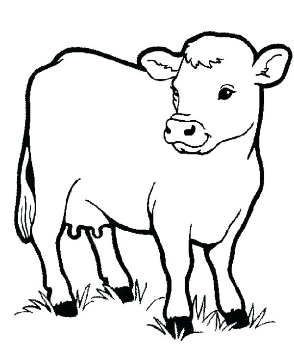 Zoo Animal Coloring Pages For Preschool Zoo Animal Coloring Pages 600x707 Zoo Animal Coloring Pages For Preschool Zoo Animal Coloring Pages
