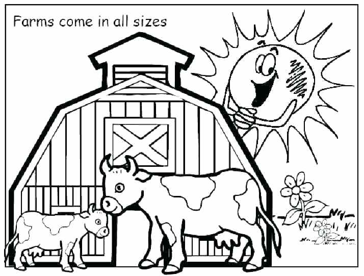 Animal Coloring Pages Preschool Jungle Animal Coloring Pages 714x541 Animal Coloring Pages Preschool Jungle Animal Coloring Pages