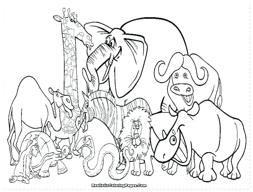 Animal Coloring Pages Preschool 863x656 Animal Coloring Pages Preschool