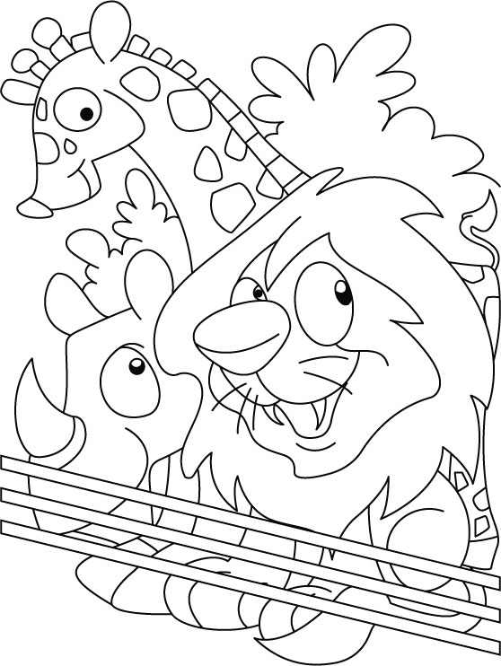 Zoo Coloring Pages 558x742 Zoo Coloring Pages