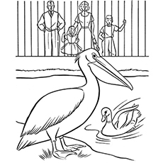 Top 25 Free Printable Zoo Coloring Pages Online 230x230 Top 25 Free Printable Zoo Coloring Pages Online