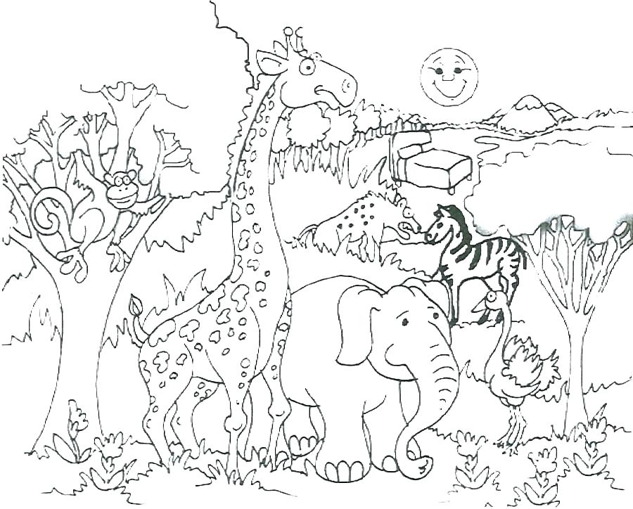 Zoo Animals Coloring Page Coloring Pages For Animals Coloring 900x724 Zoo Animals Coloring Page Coloring Pages For Animals Coloring